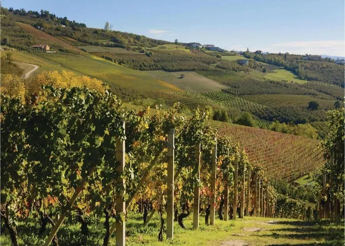 In With Maggiore Views Baveno